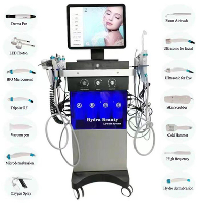 Υδρο του προσώπου λαβές μηχανών 120W 14 Hydradermabrasion των ΒΙΟ οδηγήσεων φροντίδας δέρματος