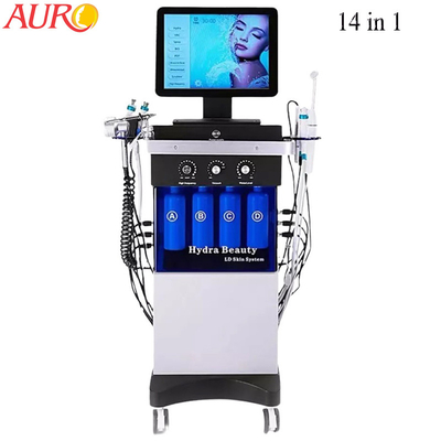 Υδρο του προσώπου λαβές μηχανών 120W 14 Hydradermabrasion των ΒΙΟ οδηγήσεων φροντίδας δέρματος